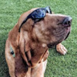 Meet your Posher, Mat